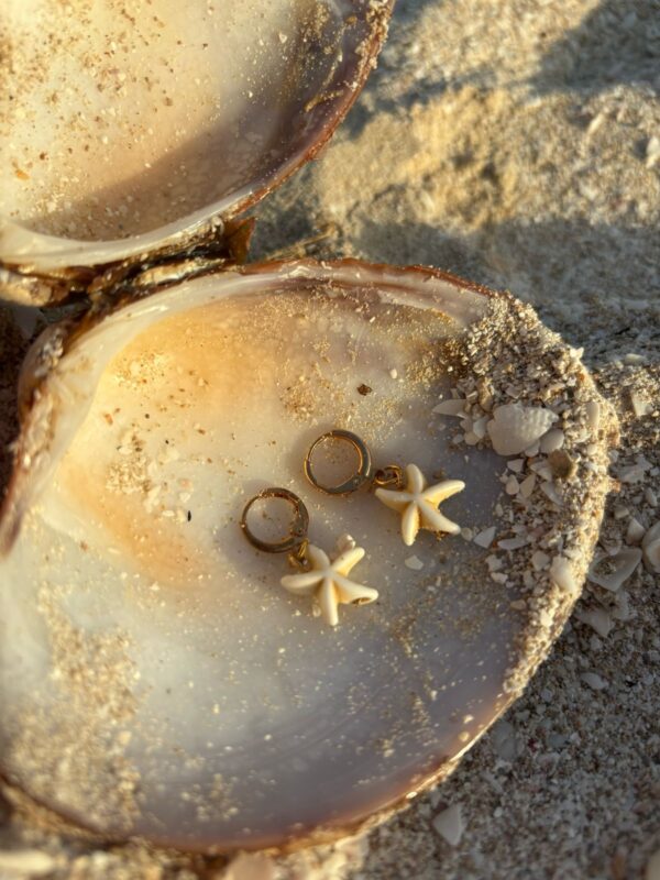 Aretes estrella de mar